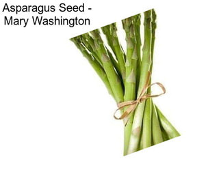 Asparagus Seed - Mary Washington