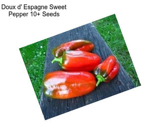 Doux d\' Espagne Sweet Pepper 10+ Seeds