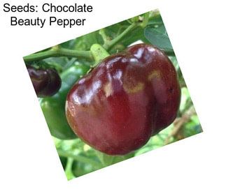 Seeds: Chocolate Beauty Pepper