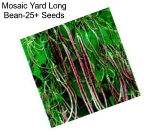 Mosaic Yard Long Bean-25+ Seeds