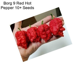 Borg 9 Red Hot Pepper 10+ Seeds