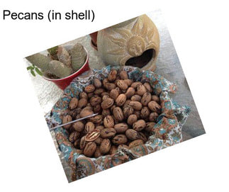 Pecans (in shell)