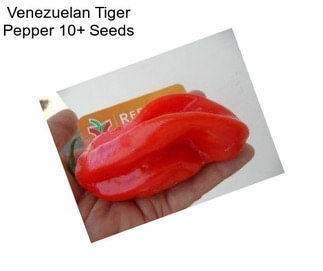 Venezuelan Tiger Pepper 10+ Seeds