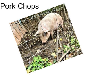 Pork Chops