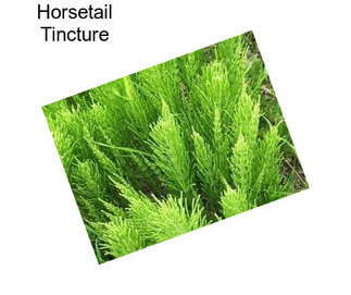 Horsetail Tincture