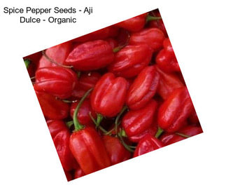 Spice Pepper Seeds - Aji Dulce - Organic
