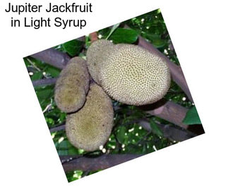 Jupiter Jackfruit in Light Syrup