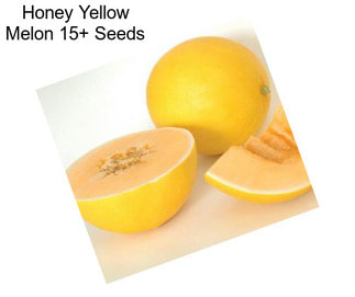 Honey Yellow Melon 15+ Seeds