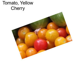 Tomato, Yellow Cherry