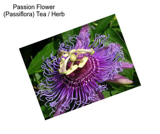 Passion Flower (Passiflora) Tea / Herb