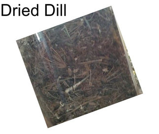 Dried Dill