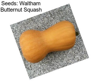 Seeds: Waltham Butternut Squash