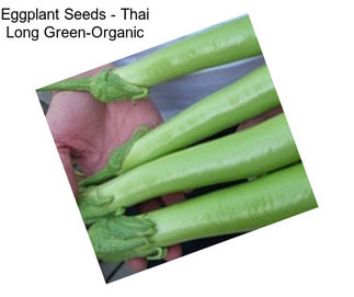 Eggplant Seeds - Thai Long Green-Organic