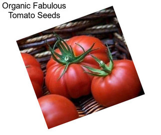 Organic Fabulous Tomato Seeds