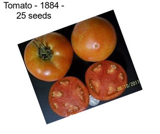 Tomato - 1884 - 25 seeds