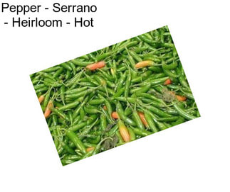 Pepper - Serrano - Heirloom - Hot