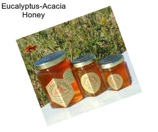 Eucalyptus-Acacia Honey