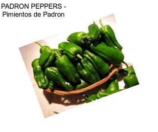 PADRON PEPPERS - Pimientos de Padron