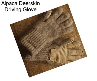 Alpaca Deerskin Driving Glove