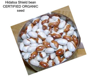 Hidatsa Shield bean CERTIFIED ORGANIC seed