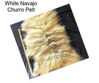 White Navajo Churro Pelt