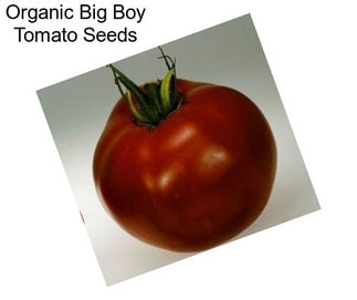 Organic Big Boy Tomato Seeds