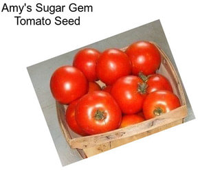 Amy\'s Sugar Gem Tomato Seed