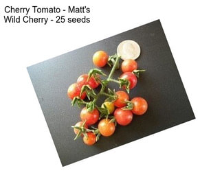 Cherry Tomato - Matt\'s Wild Cherry - 25 seeds