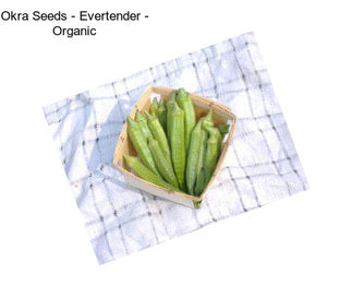Okra Seeds - Evertender - Organic