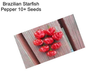 Brazilian Starfish Pepper 10+ Seeds