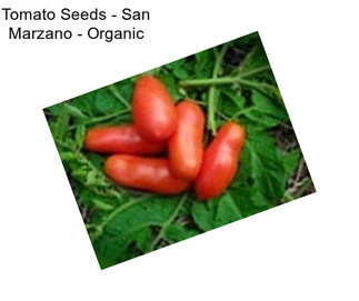 Tomato Seeds - San Marzano - Organic