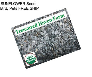 SUNFLOWER Seeds, Bird, Pets FREE SHIP