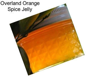 Overland Orange Spice Jelly