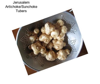 Jerusalem Artichoke/Sunchoke Tubers