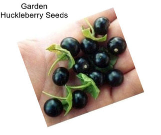 Garden Huckleberry Seeds