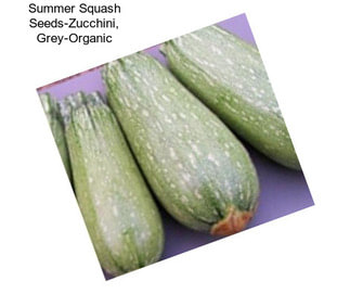 Summer Squash Seeds-Zucchini, Grey-Organic