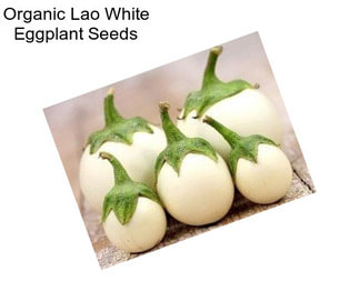 Organic Lao White Eggplant Seeds