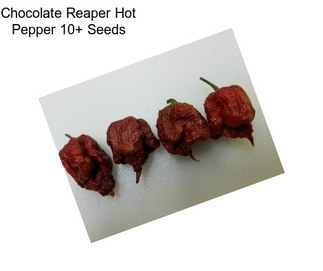 Chocolate Reaper Hot Pepper 10+ Seeds