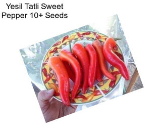 Yesil Tatli Sweet Pepper 10+ Seeds