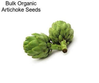 Bulk Organic Artichoke Seeds