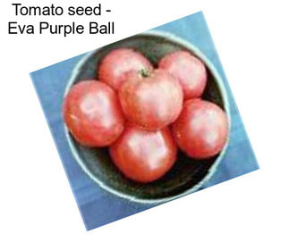 Tomato seed - Eva Purple Ball