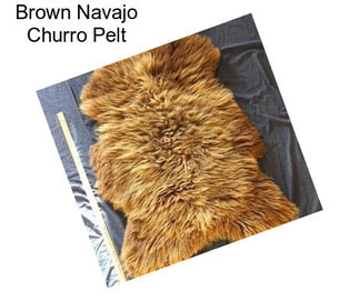 Brown Navajo Churro Pelt