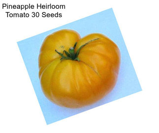 Pineapple Heirloom Tomato 30 Seeds