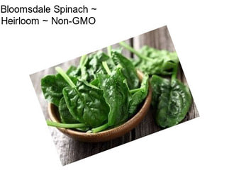 Bloomsdale Spinach ~ Heirloom ~ Non-GMO