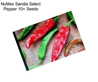NuMex Sandia Select Pepper 10+ Seeds