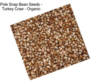 Pole Snap Bean Seeds - Turkey Craw - Organic
