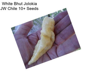 White Bhut Jolokia JW Chile 10+ Seeds