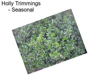 Holly Trimmings - Seasonal