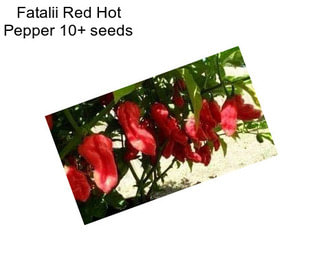 Fatalii Red Hot Pepper 10+ seeds 
