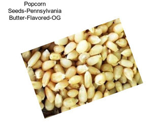 Popcorn Seeds-Pennsylvania Butter-Flavored-OG